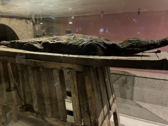 IMG_9786.JPG IMG_9786.JPG