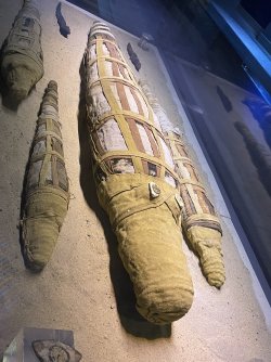 IMG_9792.JPG IMG_9792.JPG