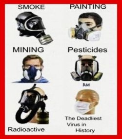 1669428580923.jpeg 1669428580923.jpeg