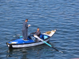 IMG_1537.JPG IMG_1537.JPG