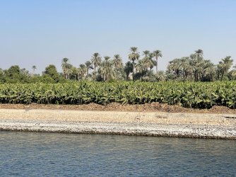 IMG_9841.JPG IMG_9841.JPG