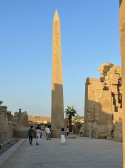 IMG_9855.JPG IMG_9855.JPG