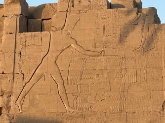 IMG_9893.JPG IMG_9893.JPG