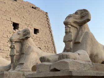 IMG_9937.JPG IMG_9937.JPG