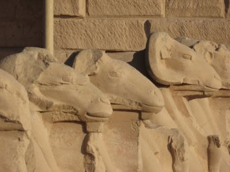 IMG_1562.JPG IMG_1562.JPG