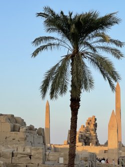 IMG_9890.JPG IMG_9890.JPG