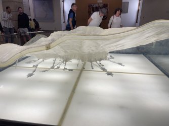 IMG_9969.JPG IMG_9969.JPG