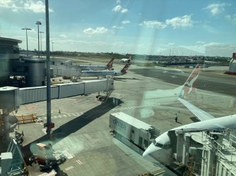 IMG_7325.jpeg IMG_7325.jpeg