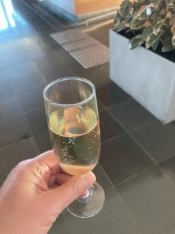 IMG_7332.jpeg IMG_7332.jpeg