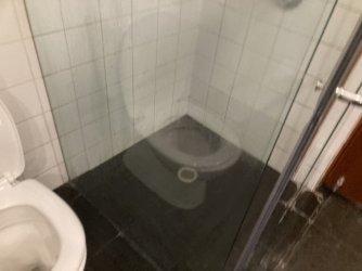 IMG_7329.jpeg IMG_7329.jpeg