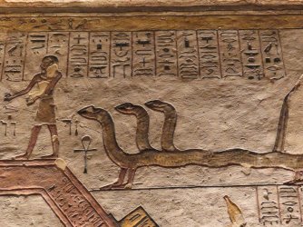 IMG_1601.JPG IMG_1601.JPG