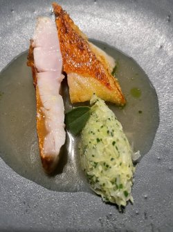 9396A51C-1093-4E62-BF48-C2EDE22C1428.jpeg 9396A51C-1093-4E62-BF48-C2EDE22C1428.jpeg