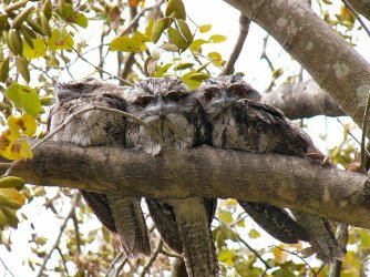 P1020057.JPG P1020057.JPG