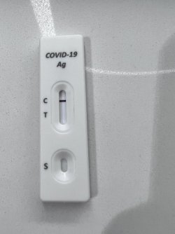 IMG_4881.JPG IMG_4881.JPG