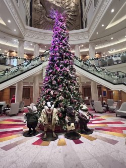 448C08A4-0C51-43CE-9DA1-2B28F468B9AD.jpeg 448C08A4-0C51-43CE-9DA1-2B28F468B9AD.jpeg