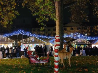 IMG_20221203_171405.jpg IMG_20221203_171405.jpg