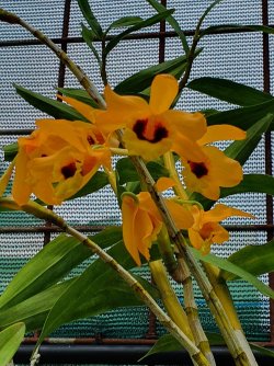 20221204_122830.jpg 20221204_122830.jpg