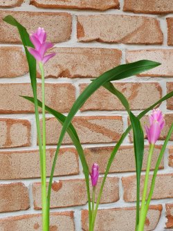 20221204_122452.jpg 20221204_122452.jpg