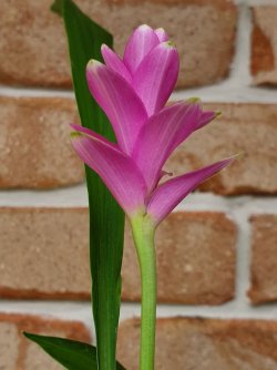 20221204_122445.jpg 20221204_122445.jpg