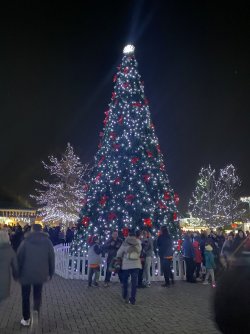 E1B88F02-5C08-4FAE-9C87-5B7834CB34B7.jpeg E1B88F02-5C08-4FAE-9C87-5B7834CB34B7.jpeg