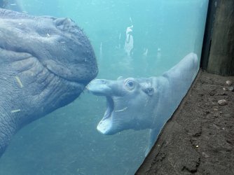 63165376-CC96-434D-A6C1-B6E1AA36A267.jpeg 63165376-CC96-434D-A6C1-B6E1AA36A267.jpeg