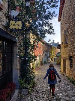 IMG_20221205_114525.jpg IMG_20221205_114525.jpg