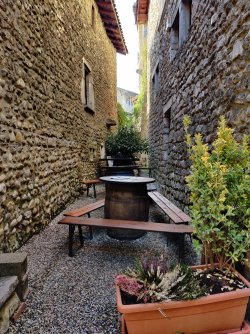 IMG_20221205_114547.jpg IMG_20221205_114547.jpg