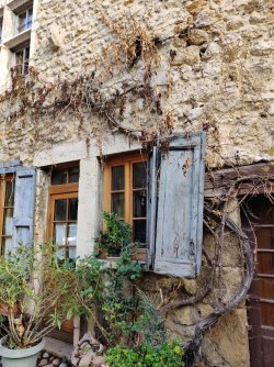 IMG_20221205_114810.jpg IMG_20221205_114810.jpg