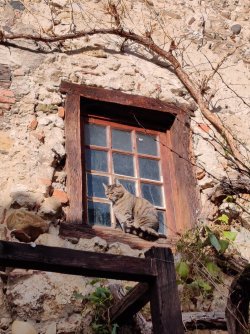 IMG_20221205_114951.jpg IMG_20221205_114951.jpg