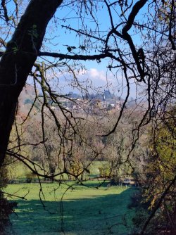 IMG_20221205_120909.jpg IMG_20221205_120909.jpg