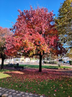 IMG_20221205_122637.jpg IMG_20221205_122637.jpg