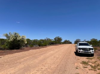 EA454F1F-E47A-4381-8B96-9B6FD627D0EA.jpeg EA454F1F-E47A-4381-8B96-9B6FD627D0EA.jpeg