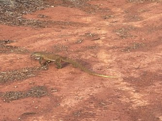 7FFCE669-1637-441C-880B-88067D2B88B2.jpeg 7FFCE669-1637-441C-880B-88067D2B88B2.jpeg