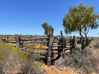 557B5385-5D07-491C-8203-3DE0E76337A4.jpeg 557B5385-5D07-491C-8203-3DE0E76337A4.jpeg