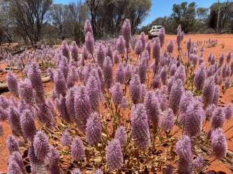 FA1A0799-1F56-48CF-9043-6F8517105E20.jpeg FA1A0799-1F56-48CF-9043-6F8517105E20.jpeg