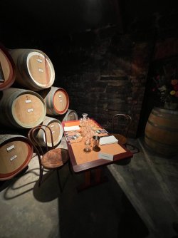 IMG_1297.jpeg IMG_1297.jpeg