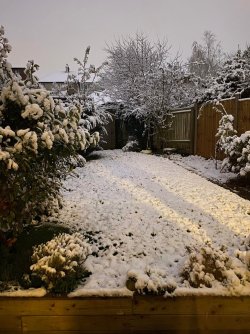 317805831_2107951216260463_4517498993426330356_n.jpg 317805831_2107951216260463_4517498993426330356_n.jpg