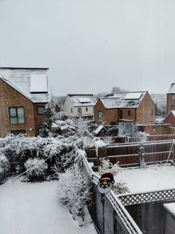 2022-12-12 08.14.00.jpg 2022-12-12 08.14.00.jpg