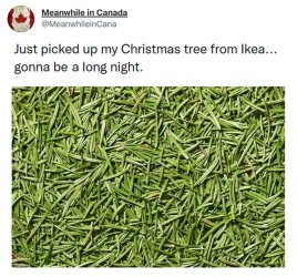 meanwhile-in-canada-memes-63907096243d8__700.jpg