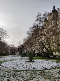 IMG_20221217_101342.jpg IMG_20221217_101342.jpg