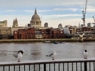 IMG_20221217_094201.jpg IMG_20221217_094201.jpg