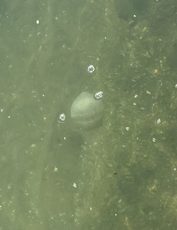 EABDB297-4EC7-4DCB-BF14-16BB78855450.jpeg EABDB297-4EC7-4DCB-BF14-16BB78855450.jpeg