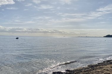 1022EED9-4D0F-41B7-AE11-B6E01611B43C.jpeg 1022EED9-4D0F-41B7-AE11-B6E01611B43C.jpeg