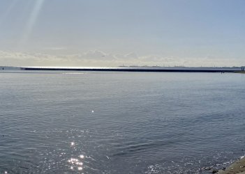 CBC5B42E-C42A-4F83-970E-75932AE41A4D.jpeg CBC5B42E-C42A-4F83-970E-75932AE41A4D.jpeg