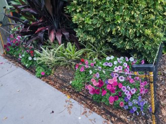 20221224_183325.jpg 20221224_183325.jpg