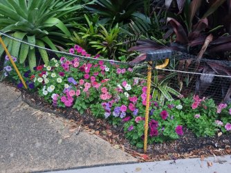 20221224_183336.jpg 20221224_183336.jpg