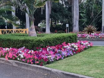 20221224_183927.jpg 20221224_183927.jpg