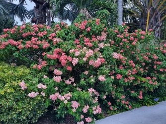 20221224_183307.jpg 20221224_183307.jpg