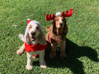 1671969913797.png 1671969913797.png