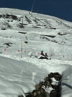 E39CE2B5-CC52-4600-AE8F-A2FC89348115.jpeg E39CE2B5-CC52-4600-AE8F-A2FC89348115.jpeg